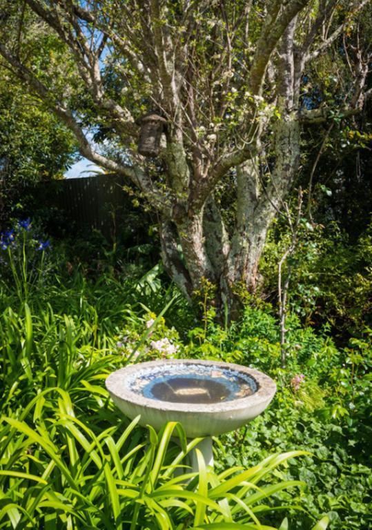 The Courtyard Βίλα Oneroa Εξωτερικό φωτογραφία