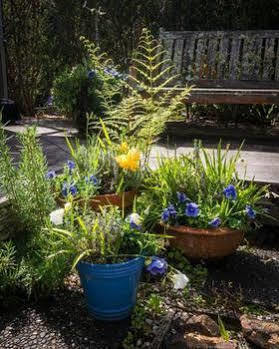 The Courtyard Βίλα Oneroa Εξωτερικό φωτογραφία